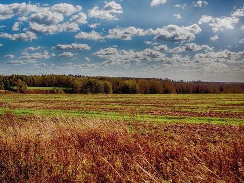 Выявление невостребованных земельных долей.