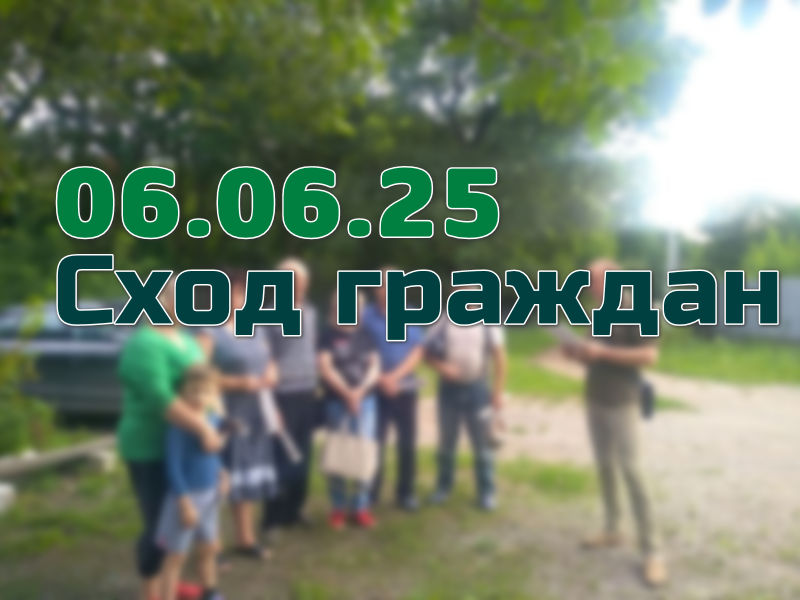 Сход граждан.