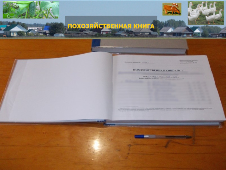 Ведение похозяйственных книг. Ведение похозяйственных книг.