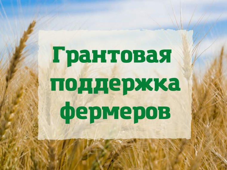 Грантовая поддержка. Грантовая поддержка.